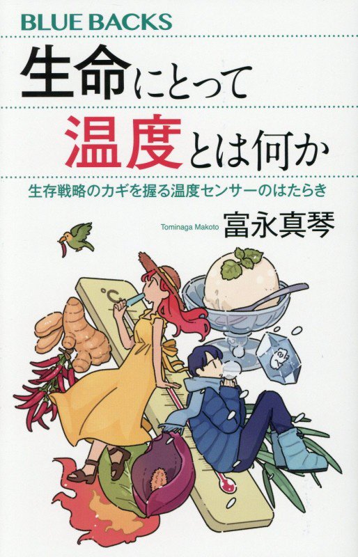 表紙