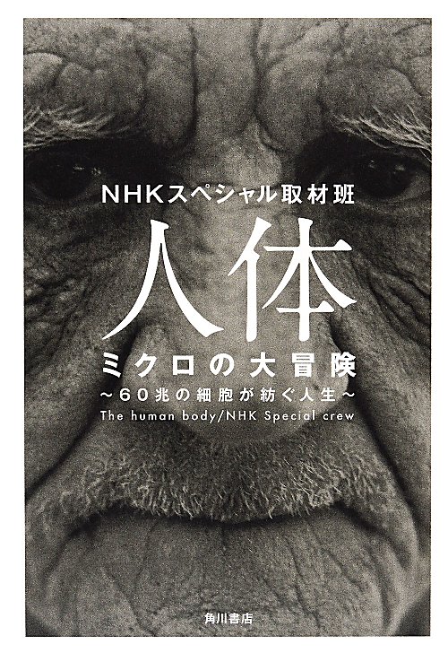 表紙